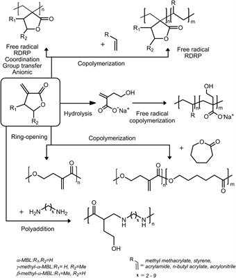 Functional Polymers and Polymeric Materials From Renewable Alpha-Unsaturated Gamma-Butyrolactones